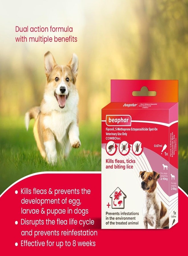 Beaphar Flea & Tick Spot On Combotec Fipronil/s-Methoprene | Kills Fleas, Ticks and Biting Lice | 0.67 ML Single Pipette for Small Dog - Image 3